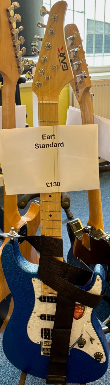 Eart Standard